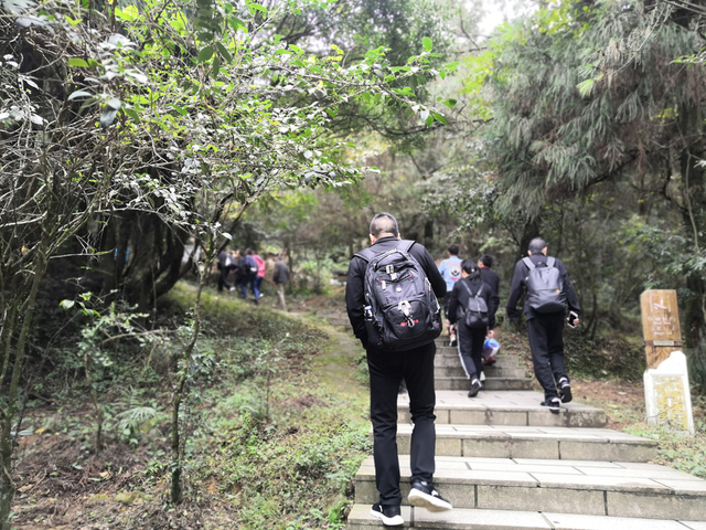 культурные центры