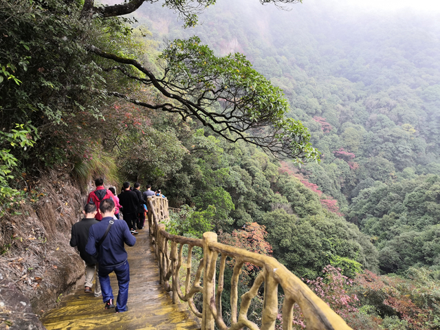 культурные центры